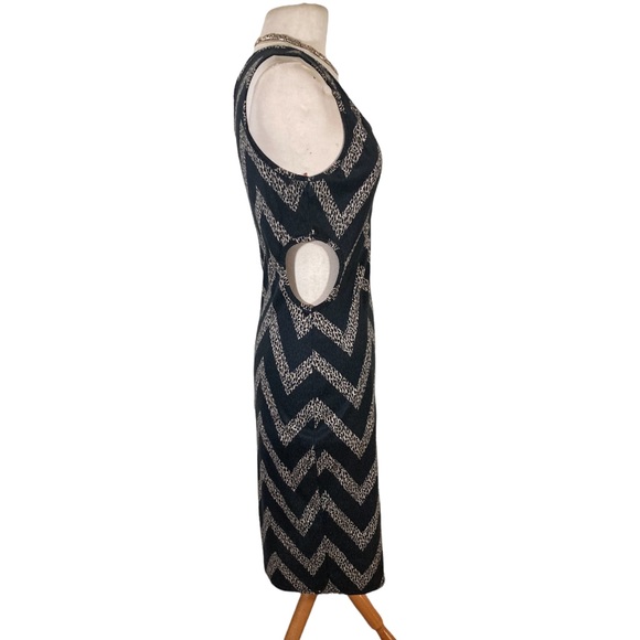 Sold! Modern Zig Zag Animal Print Body-con Dress - Picture 2 of 4